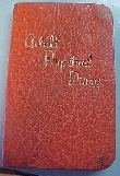 adult perpetual diary