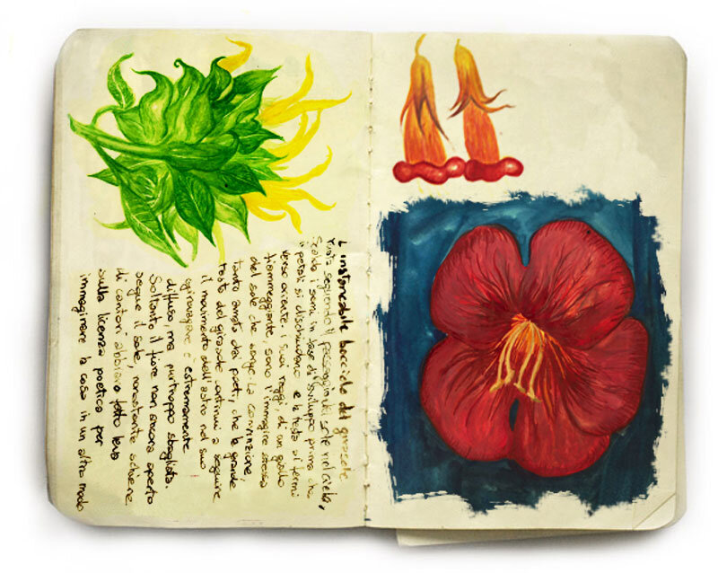 Samantha DiProspero moleskine art