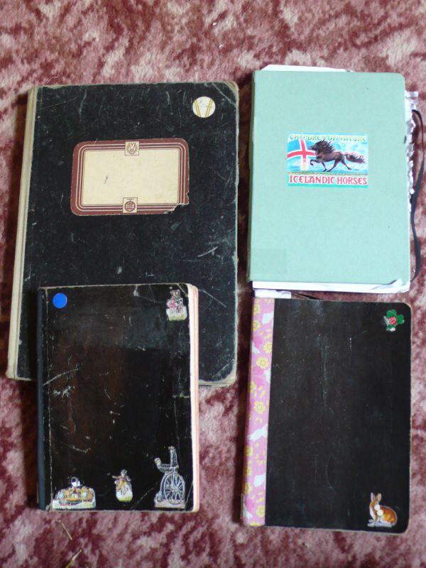 Vanessa Berry notebook addict of the week notebooks from Germany