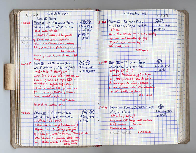 archaeological notebook notes in colored inks