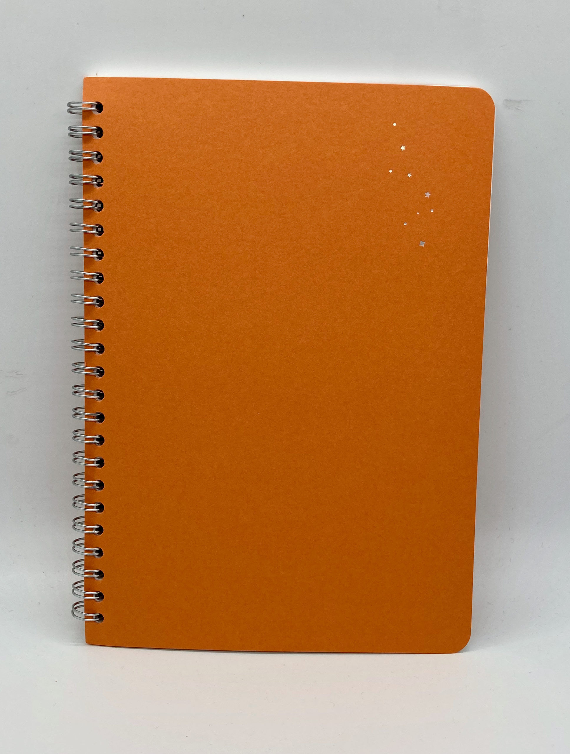 Nebula Casual Note Review | Notebook Stories