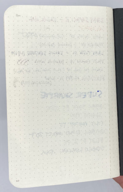 louise carmen notebook dot grid pen test back of page