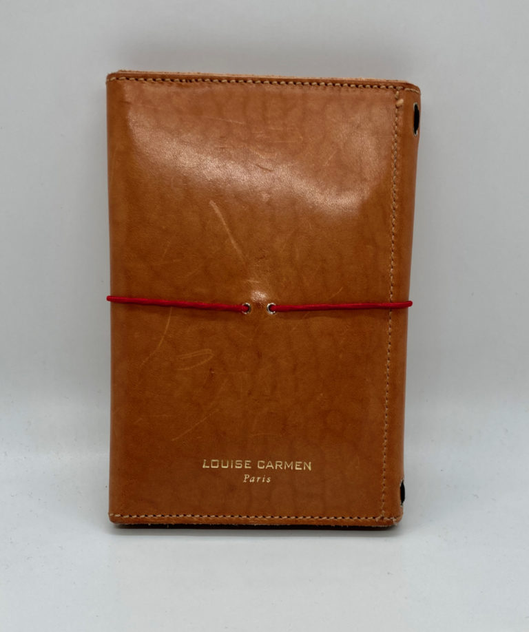 Louise Carmen Notebook Review Part 1 Notebook Stories