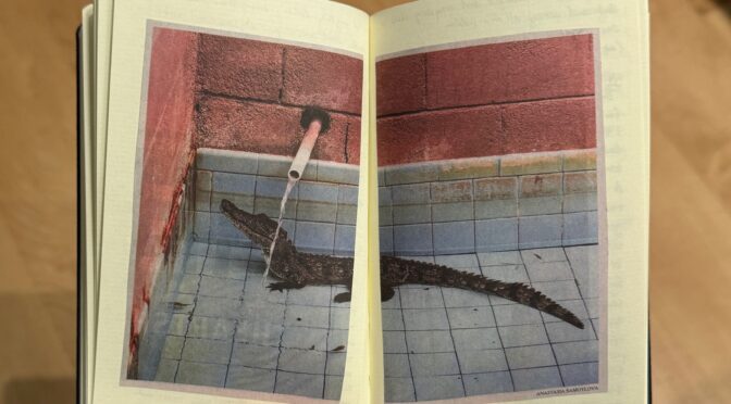 Notebook Stories is Now on Bluesky