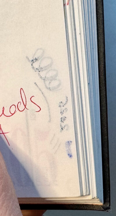 nava memoria pen test back of page