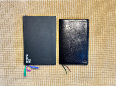 nava memoria vs nolty gold diary