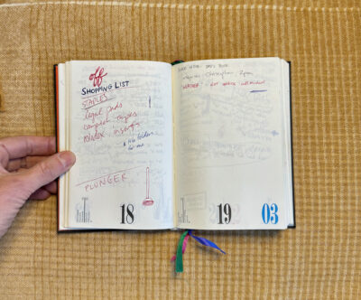 nava memoria page per day diary