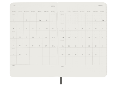 moleskine pocket diary month per page spread