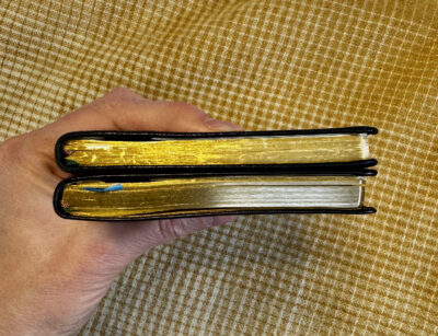 nolty gold 2026 vs 2025 quality