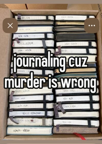 Pinterest meme based on notebook stories image