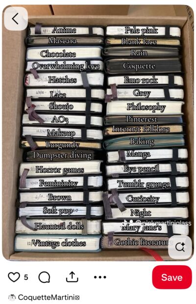 Pinterest meme based on notebook stories image